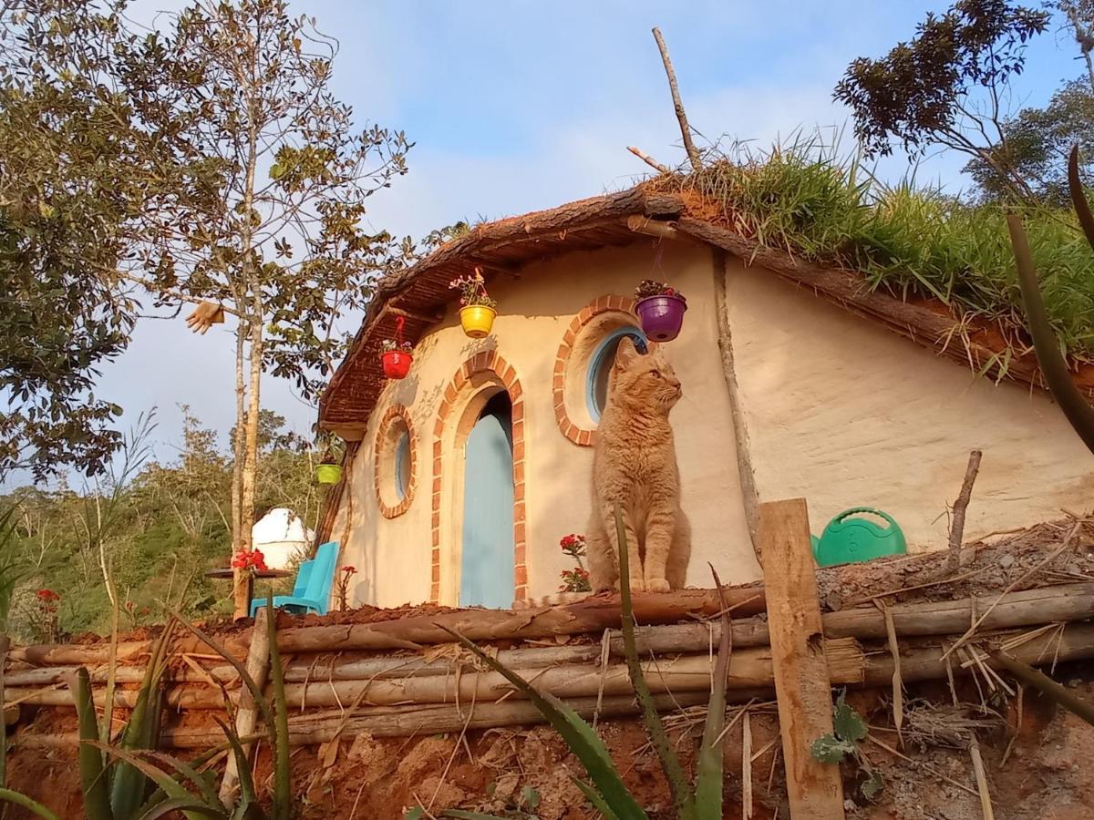 בריצ'ארה La Pacha Hostel מראה חיצוני תמונה