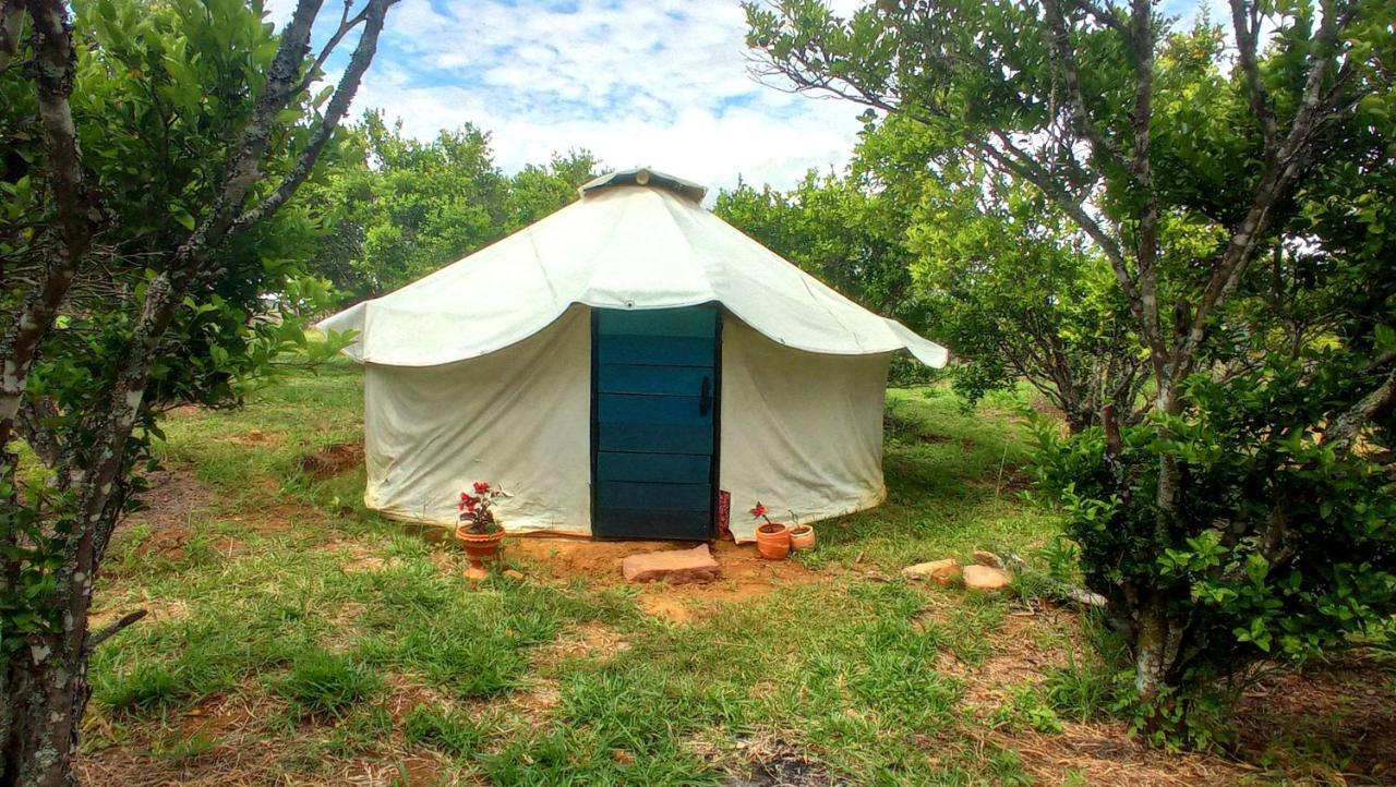 בריצ'ארה La Pacha Hostel מראה חיצוני תמונה
