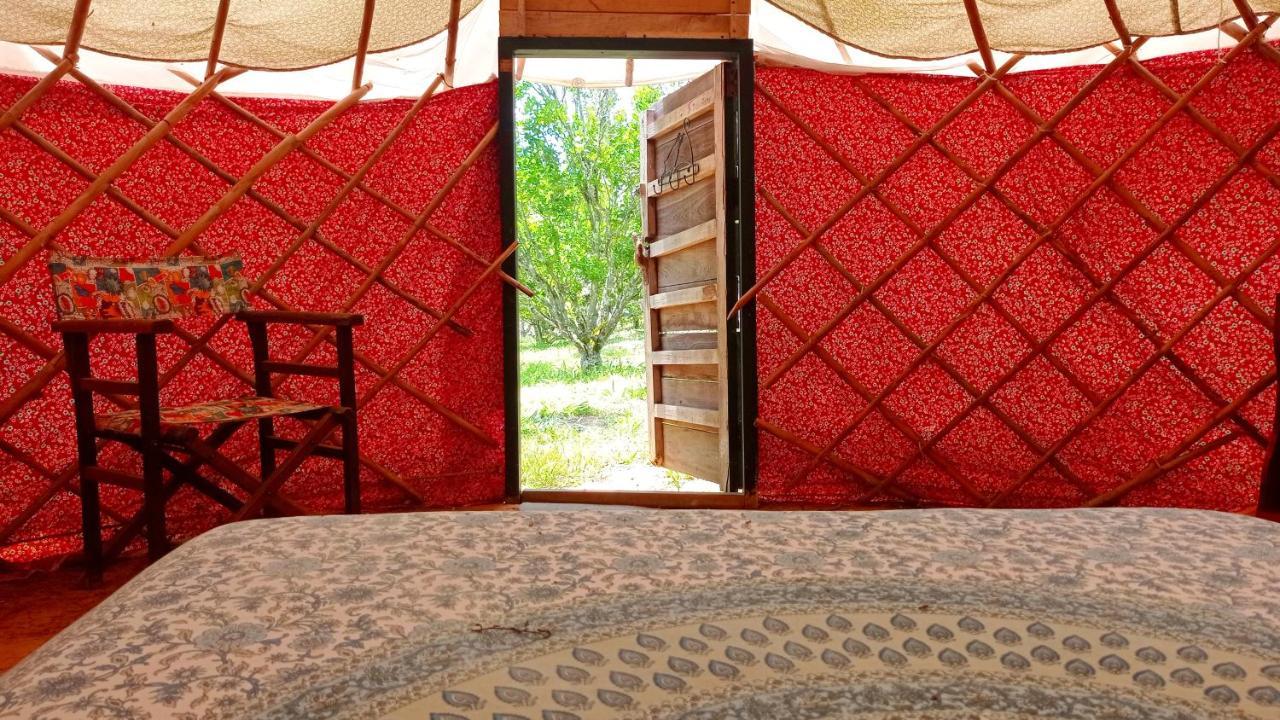 בריצ'ארה La Pacha Hostel מראה חיצוני תמונה