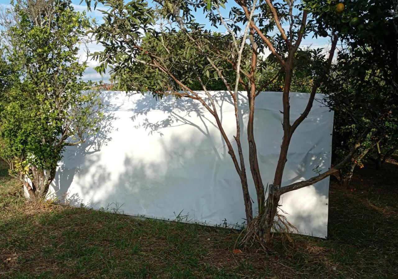 בריצ'ארה La Pacha Hostel מראה חיצוני תמונה