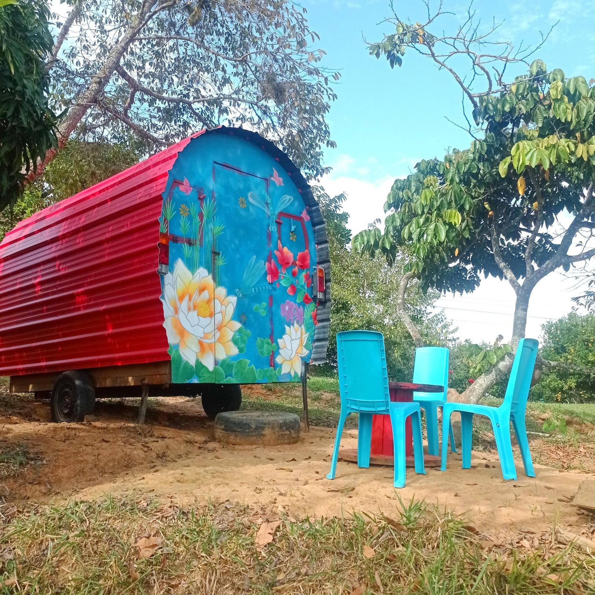 בריצ'ארה La Pacha Hostel חדר תמונה