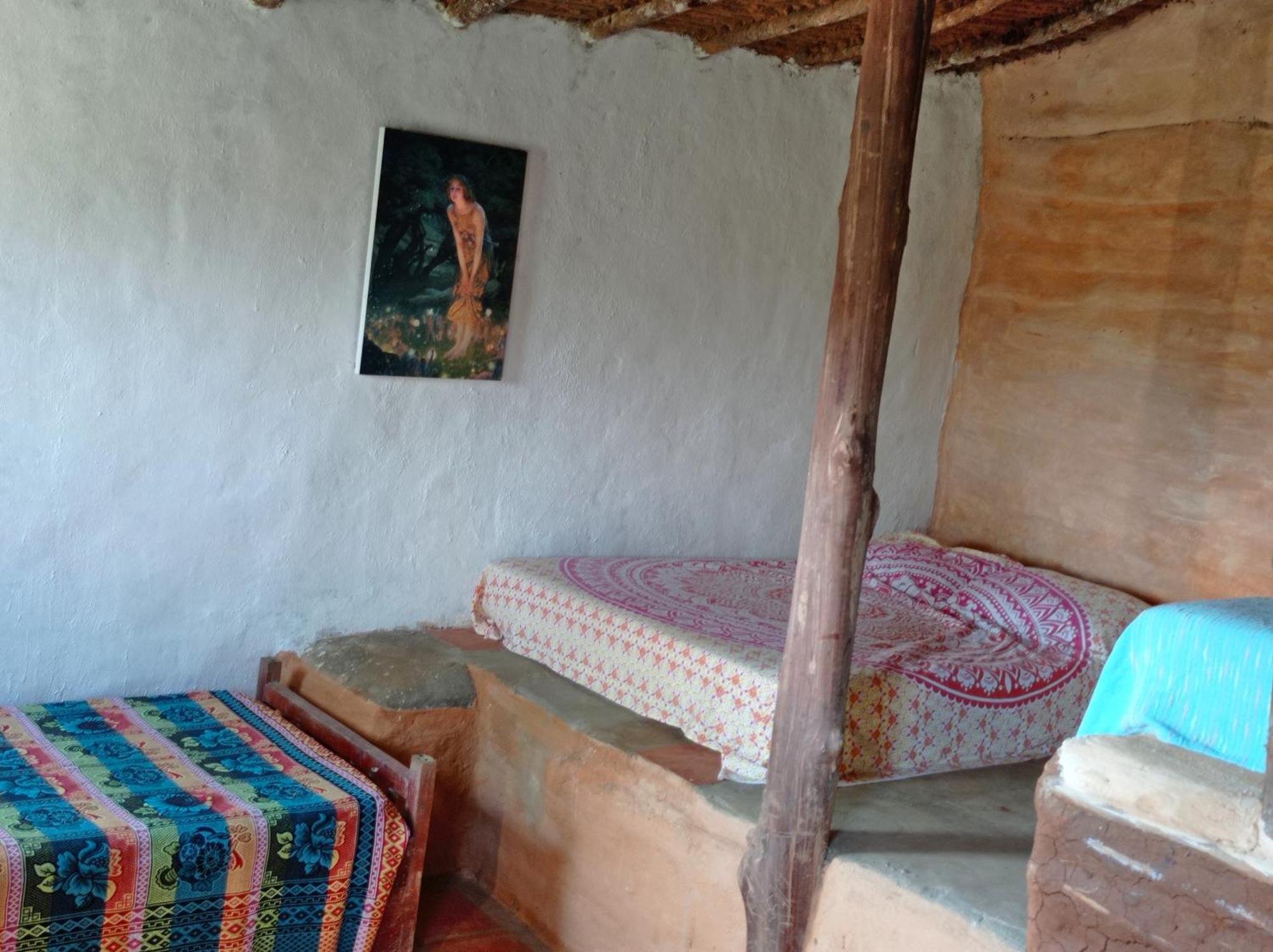 בריצ'ארה La Pacha Hostel חדר תמונה