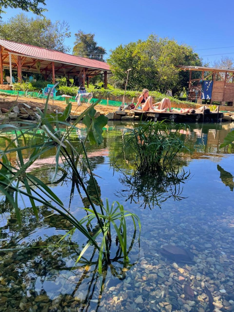 בריצ'ארה La Pacha Hostel מראה חיצוני תמונה